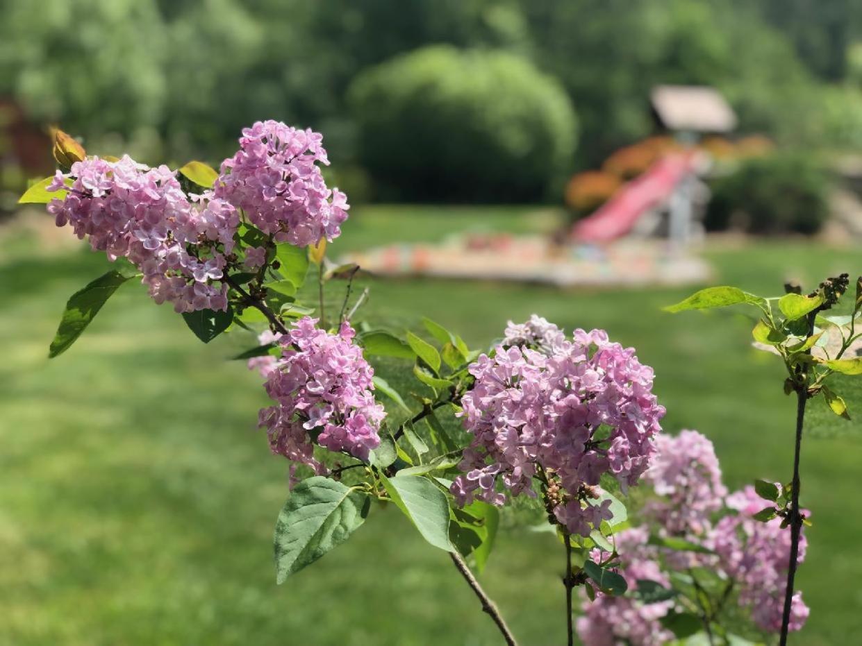 Penzion Terezka Králíky Esterno foto